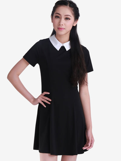 Contrast Doll Collar Short Sleeve Above Knee Flare Dress