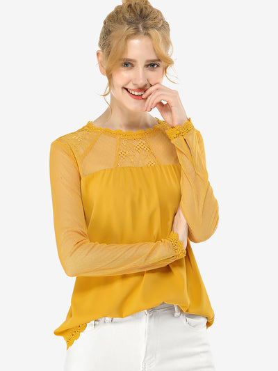 Lace Mesh Long Sleeve Top Round Neck Casual Elegant Blouse