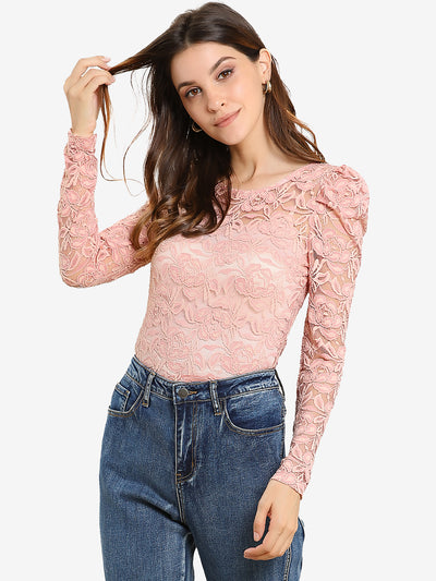 Retro Semi Sheer Puff Long Sleeve Embroidery Lace Blouse