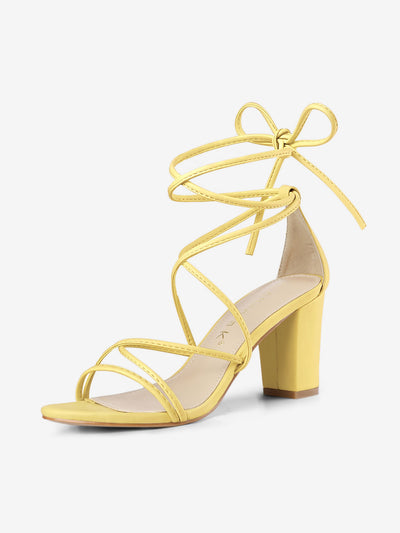 Strappy Strap Lace Up Mid Chunky Heel Sandals