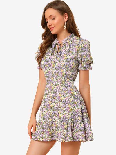 Summer Chiffon Tie Neck Puff Short Sleeve Floral Ruffle Smock Dress