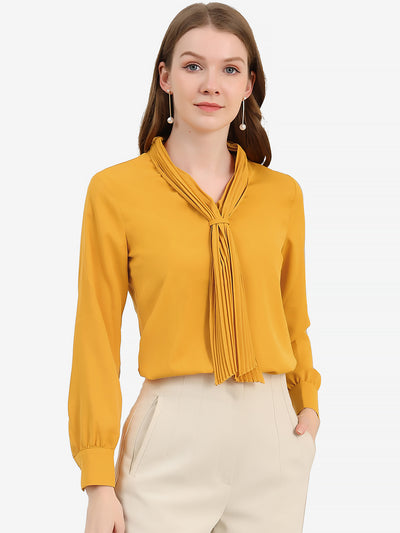 Long Sleeve Pleated Tie Neck Office Chiffon Blouse