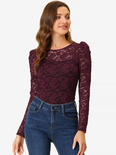 Retro Semi Sheer Puff Long Sleeve Embroidery Lace Blouse