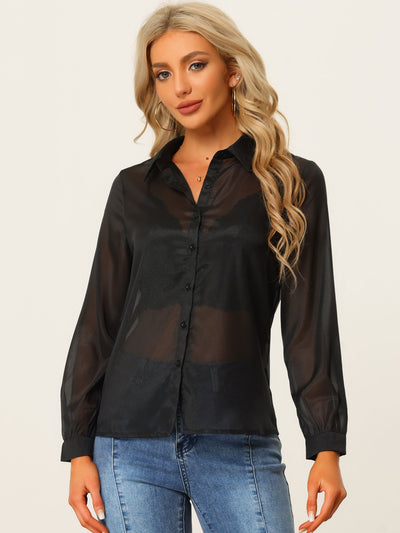 Sheer Button Up See Through Mesh Long Sleeve Blouse Shirt