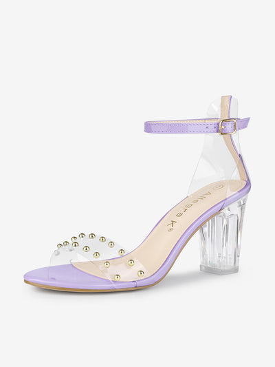 Buckle Closure Clear Block Heel Ankle Strap Sandals