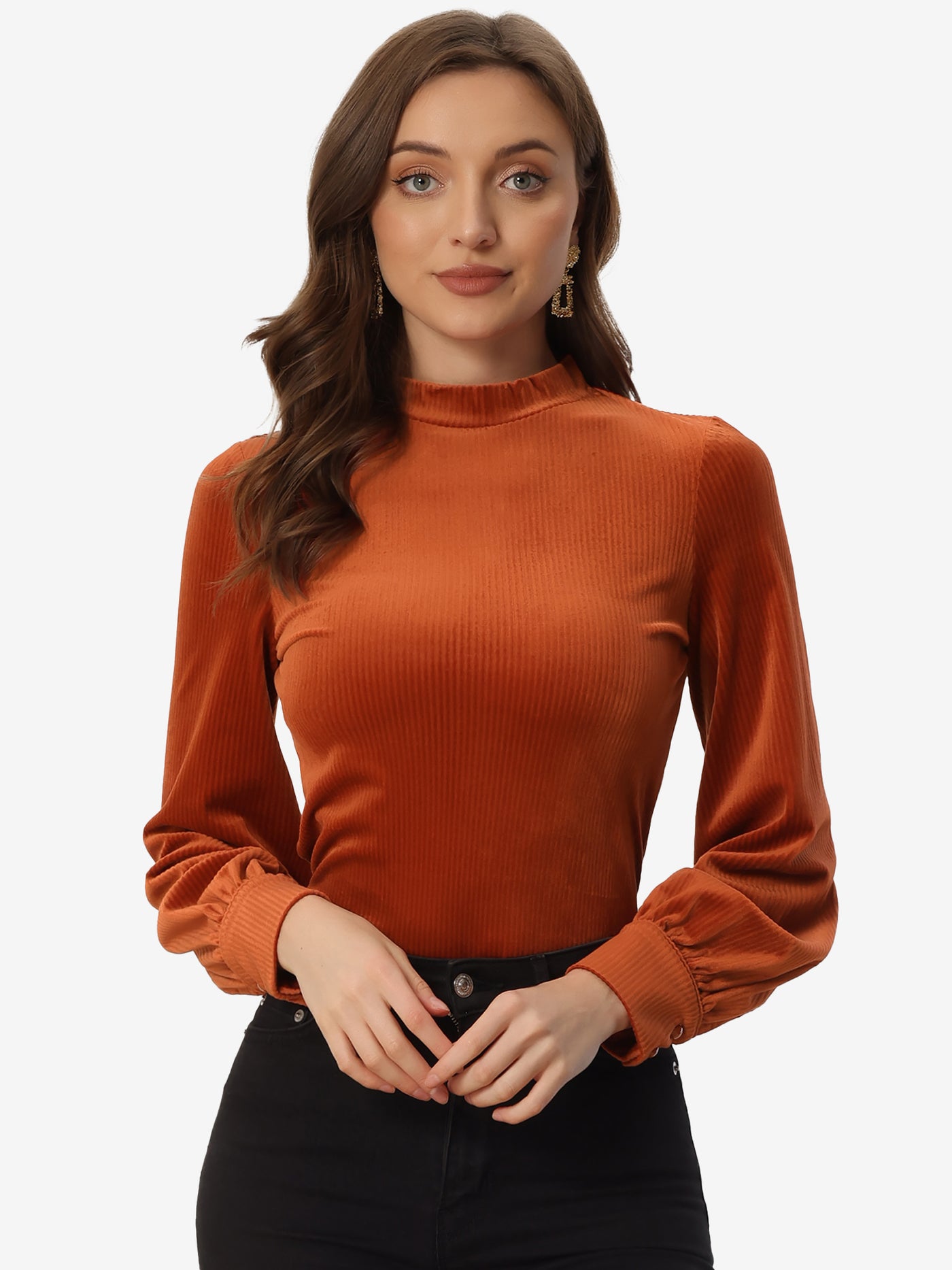 Allegra K Elegant Velvet Crew Neck Puff Long Sleeve Rib Velour Blouse