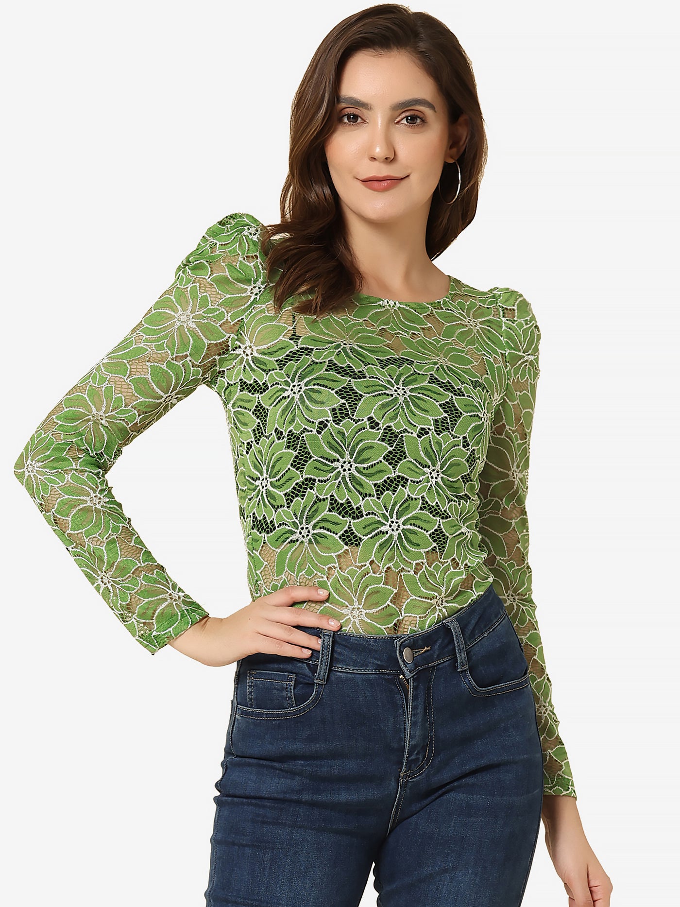 Allegra K Retro Semi Sheer Puff Long Sleeve Embroidery Lace Blouse