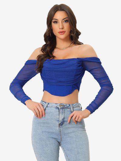 Mesh Sheer Long Sleeve Off Shoulder Party Bustier Crop Top