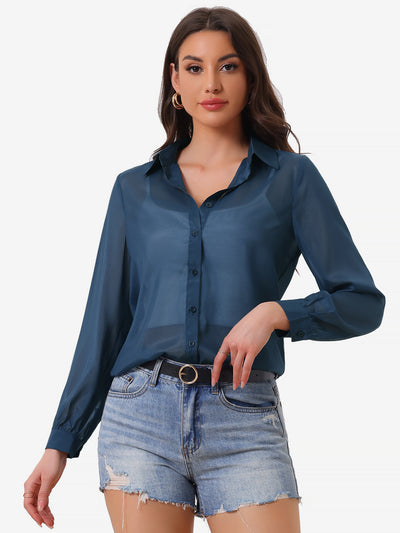 Sheer Button Up See Through Mesh Long Sleeve Blouse Shirt