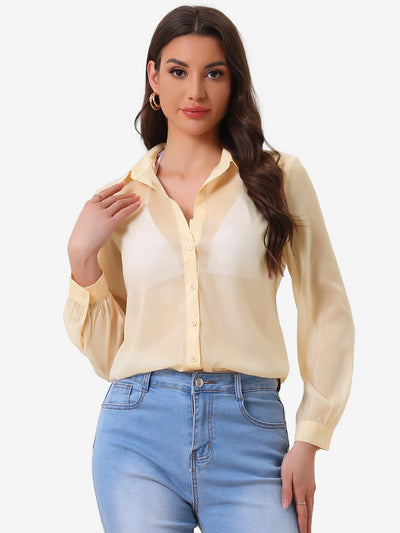 Sheer Button Up See Through Mesh Long Sleeve Blouse Shirt