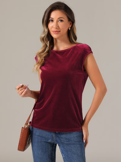 Velvet Cap Sleeve Casual Basic Round Neck Blouse