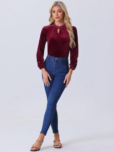 Velvet Long Sleeve Keyhole Elegant Casual Blouse