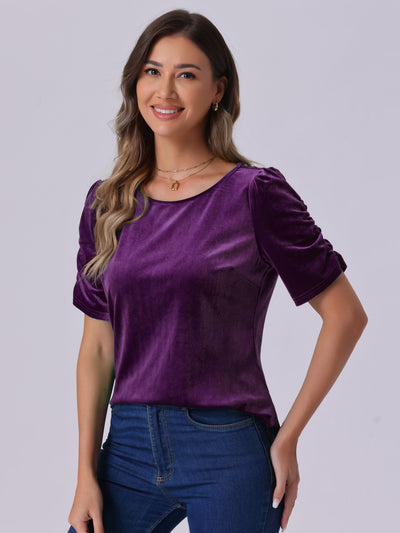 Velvet Round Neck Puff Short Sleeve Casual Blouse