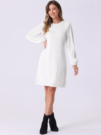 Long Lantern Sleeve Solid Color Textured Midi Dress