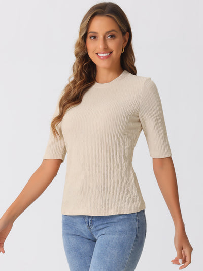 Crew Neck Short Sleeve Textured Basic Casual Blouse