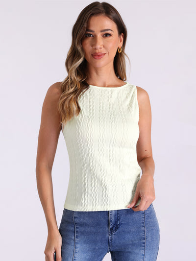 Textured Sleeveless Boat Neck Fitted Basic Top