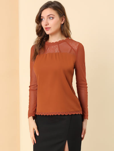 Lace Mesh Long Sleeve Top Round Neck Casual Elegant Blouse