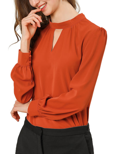 Keyhole Elegant Stand Collar Long Sleeve Chiffon Office Blouse