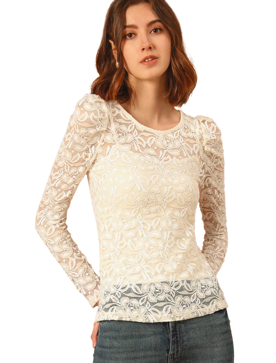 Allegra K Retro Semi Sheer Puff Long Sleeve Embroidery Lace Blouse