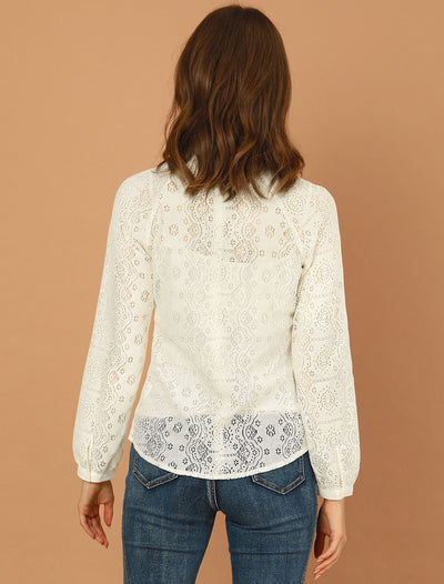 Lace Long Sleeve Floral Vintage Stand Collar Eyelet Blouse