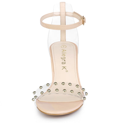 Buckle Closure Clear Block Heel Ankle Strap Sandals