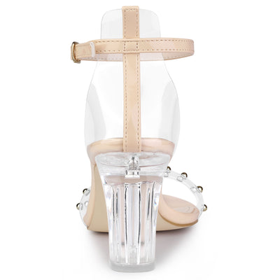 Buckle Closure Clear Block Heel Ankle Strap Sandals