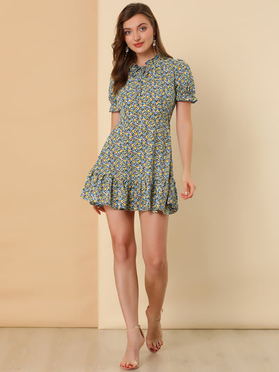 Summer Chiffon Tie Neck Puff Short Sleeve Floral Ruffle Smock Dress