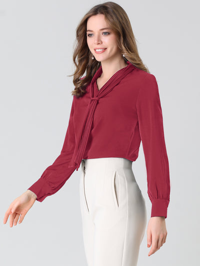 Long Sleeve Blouse Chiffon Pleated Tie Neck Office Top Shirt