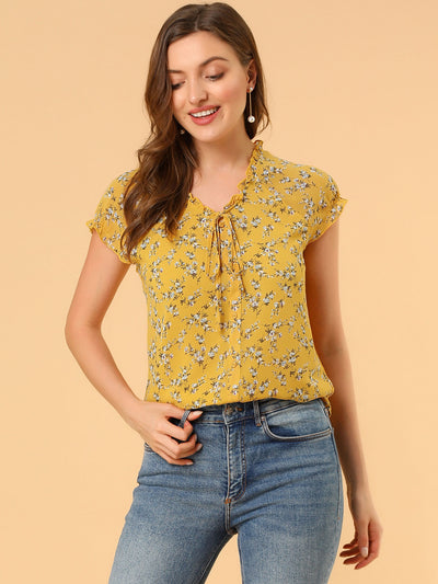 Ditsy Floral Print Chiffon Short Sleeve Ruffle Blouse