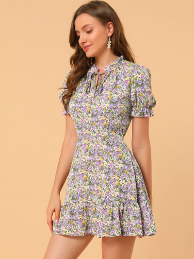 Summer Chiffon Tie Neck Puff Short Sleeve Floral Ruffle Smock Dress