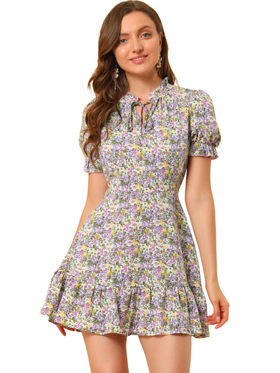 Summer Chiffon Tie Neck Puff Short Sleeve Floral Ruffle Smock Dress