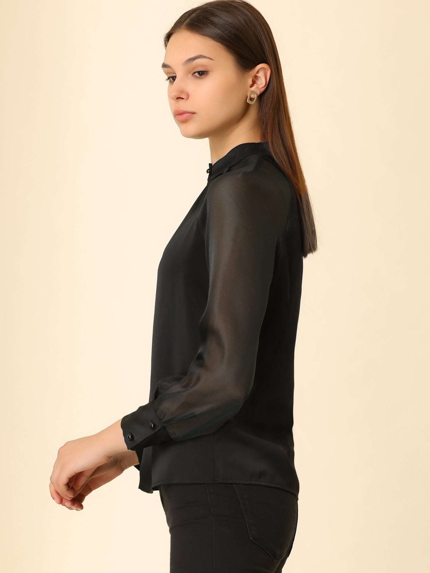 Allegra K Long Sleeve Keyhole Neck Sheer Satin Blouse