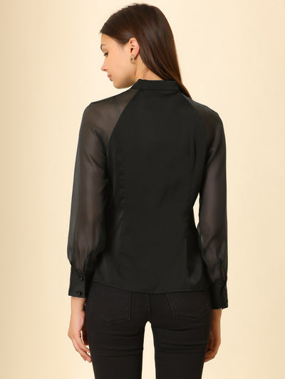 Long Sleeve Keyhole Neck Sheer Satin Blouse