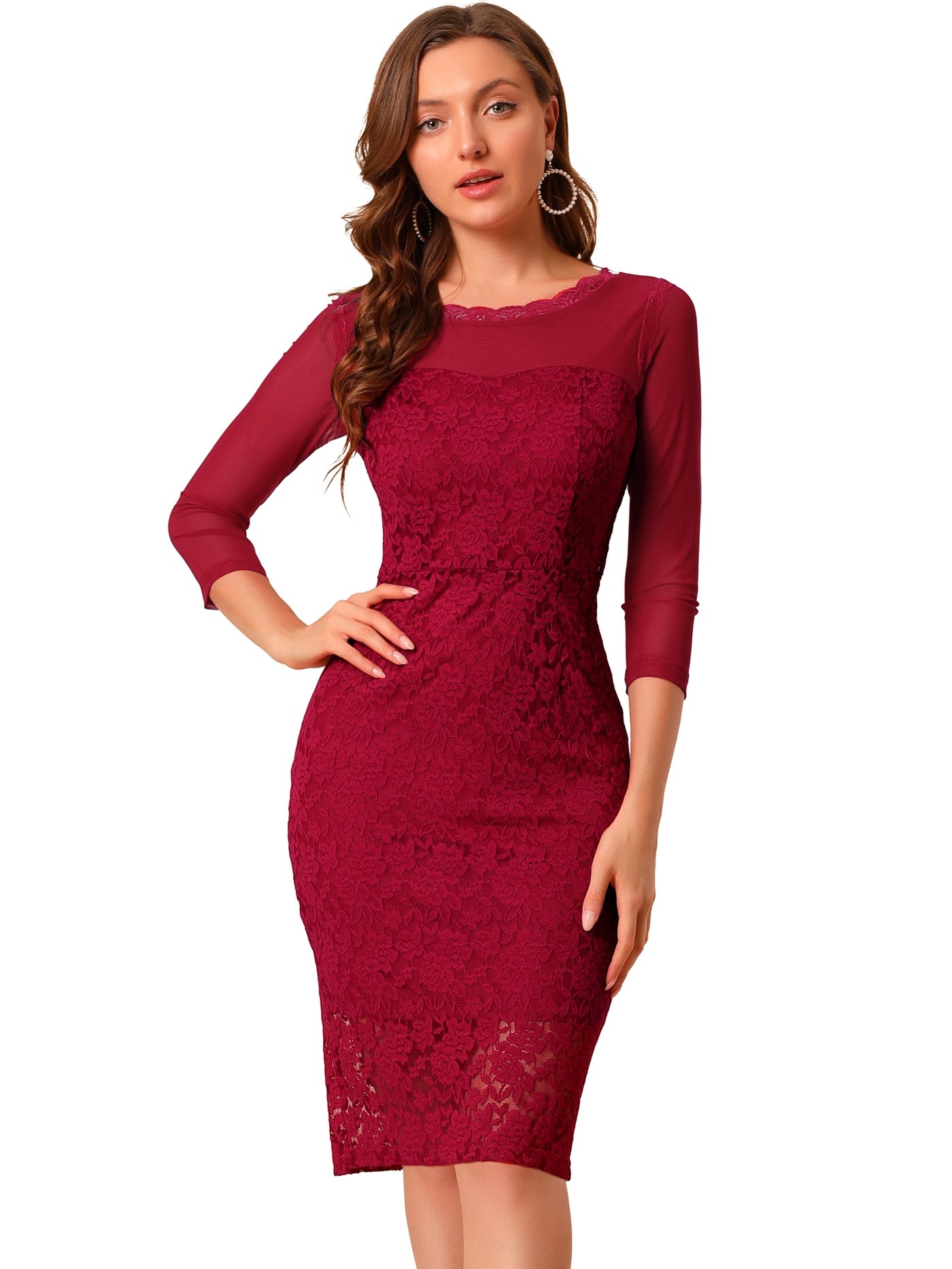 Allegra K Elegant Mesh Sheer Long Sleeve Stretch Knit Floral Lace Bodycon Dress