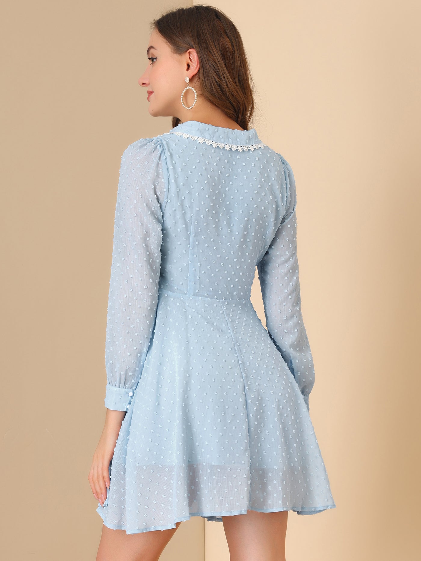 Allegra K Peter Pan Collar Crochet Trim Long Sleeve Swiss Dots Retro Mini Dress