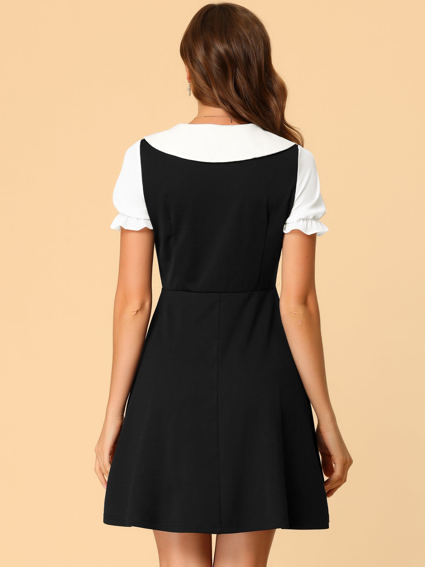 Allegra K 50s Lolita Contrast Color Peter Pan Collar Dress