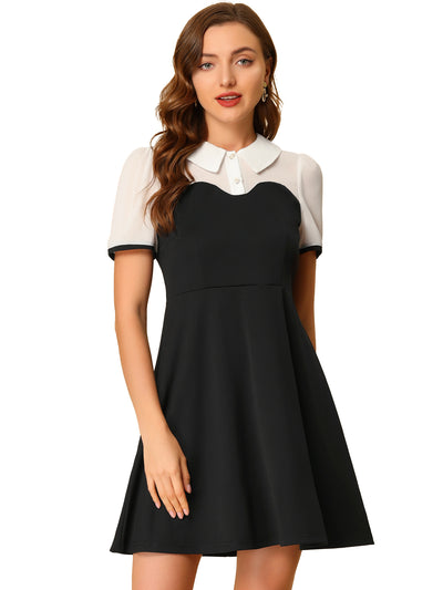 Contrast Doll Collar Short Sleeve Vintage Skater Dress