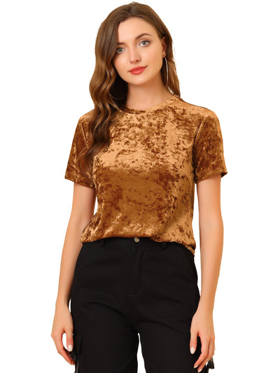 Velvet Top Crew Neck Short Sleeve Casual T-Shirt