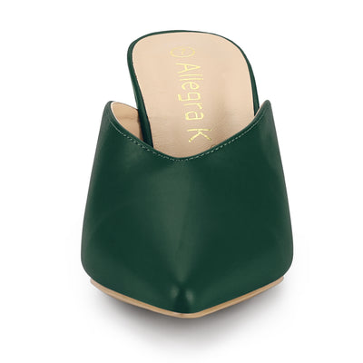 Pointed Toe Chunky Heel Slides Mules