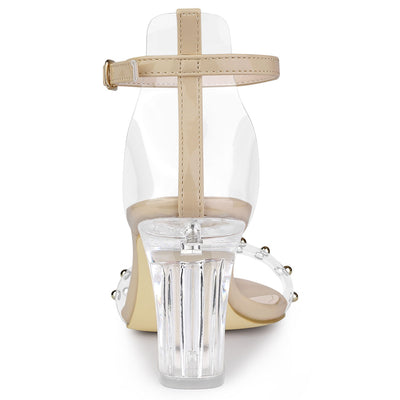Buckle Closure Clear Block Heel Ankle Strap Sandals