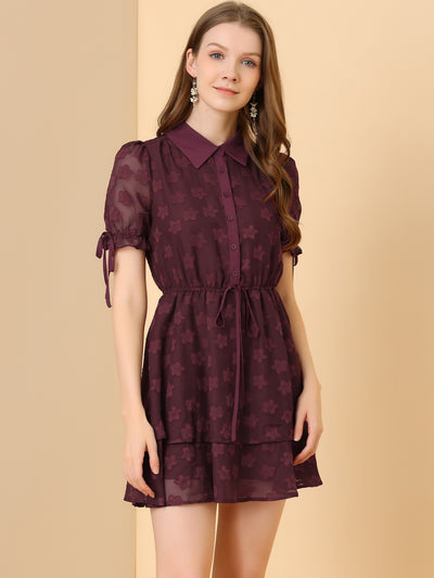 Peter Pan Collar Floral Drawstring Chiffon Layered Dress