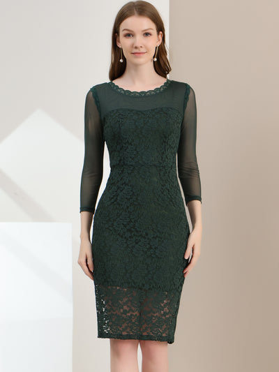 Elegant Mesh Sheer Long Sleeve Stretch Knit Floral Lace Bodycon Dress