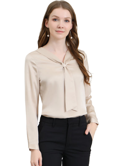 Satin Tie Neck Long Sleeve Solid Color Elegant Office Work Shirt Top