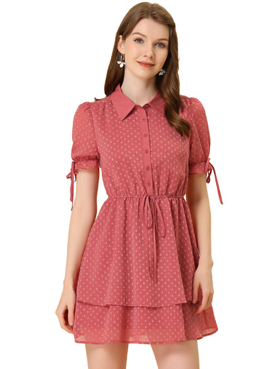 Peter Pan Collar Floral Drawstring Chiffon Layered Dress