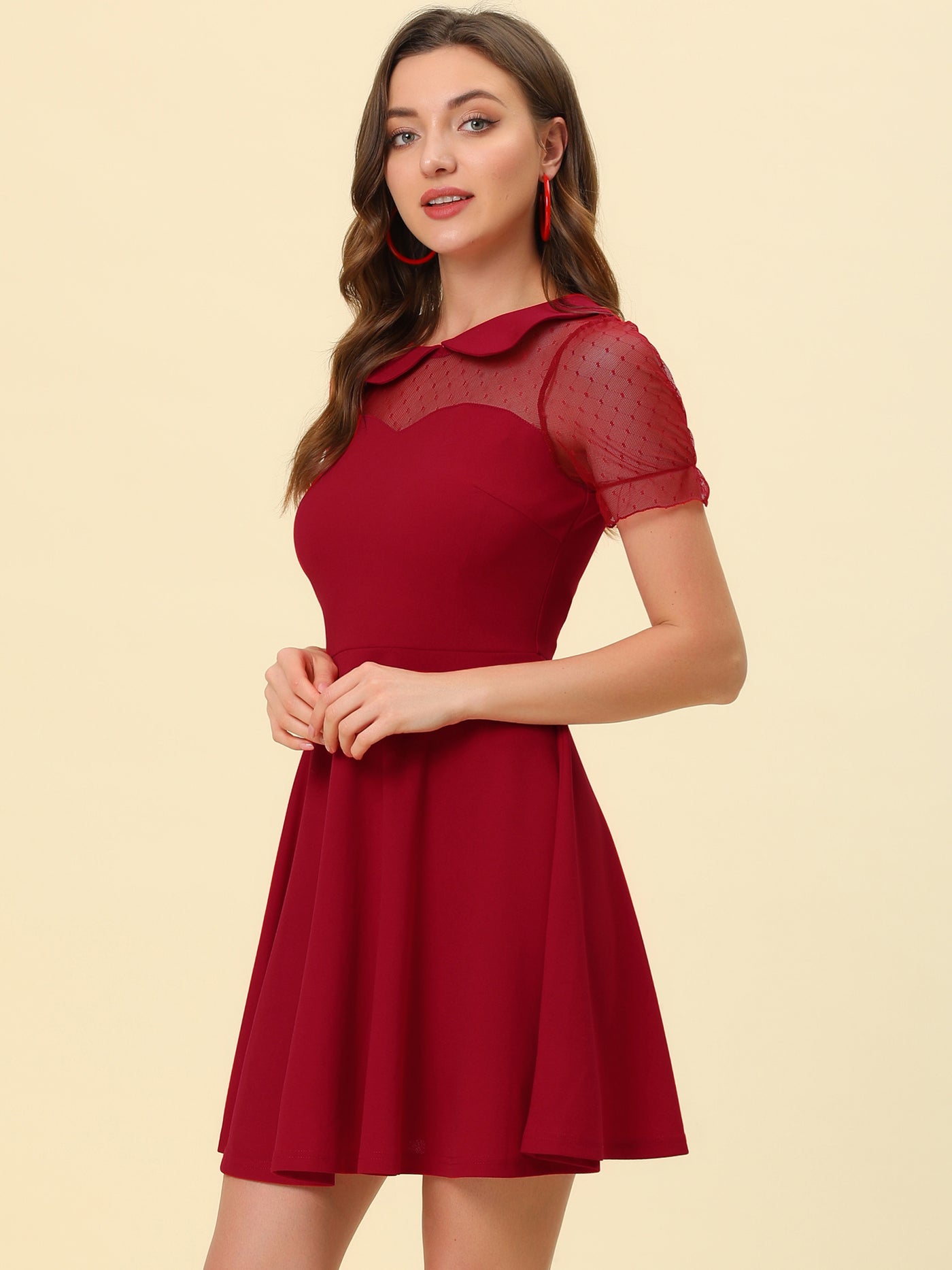 Allegra K Retro Peter Pan Collar Mesh Panel Vintage Cocktail Dress