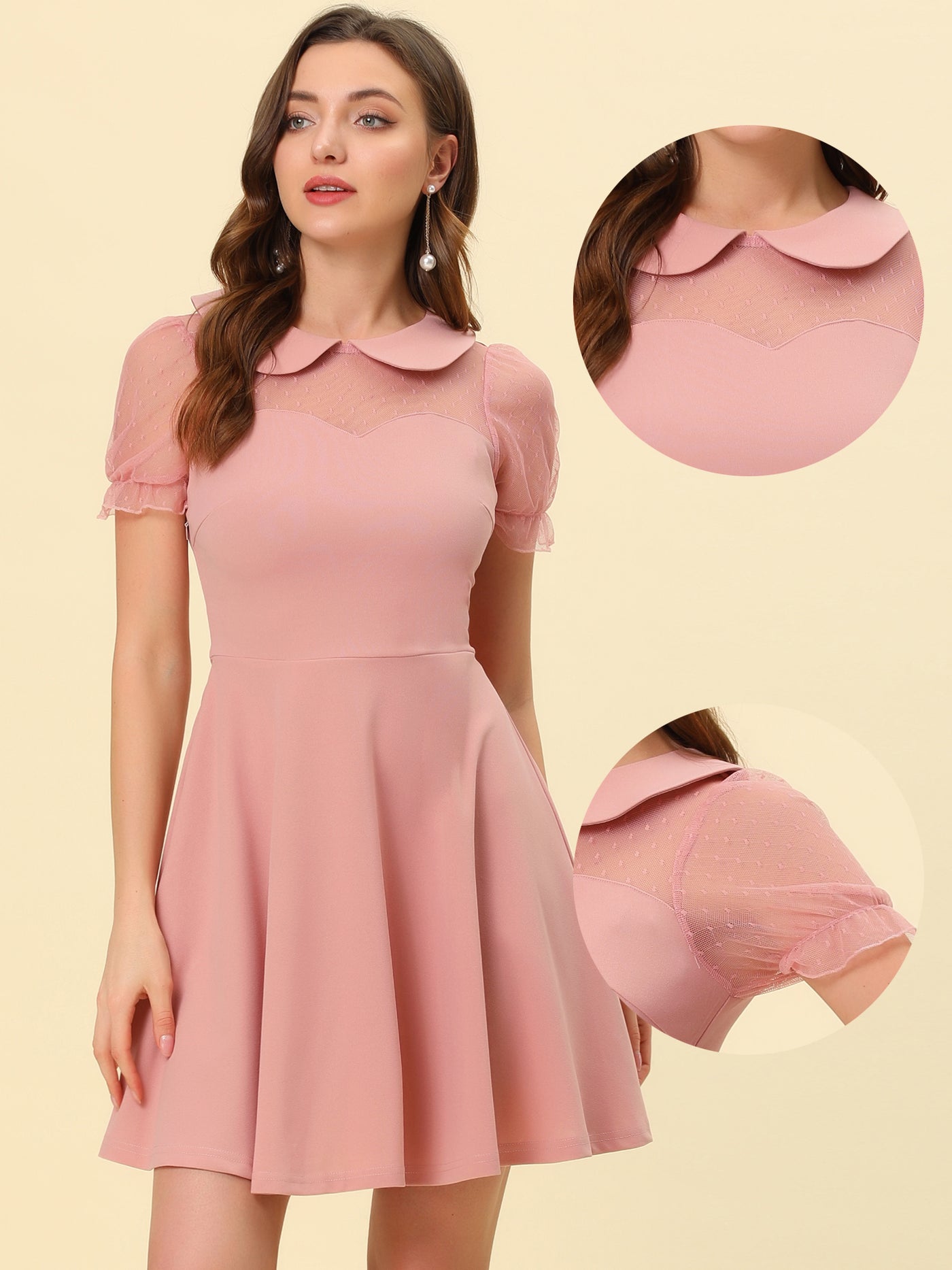 Allegra K Retro Peter Pan Collar Mesh Panel Vintage Cocktail Dress