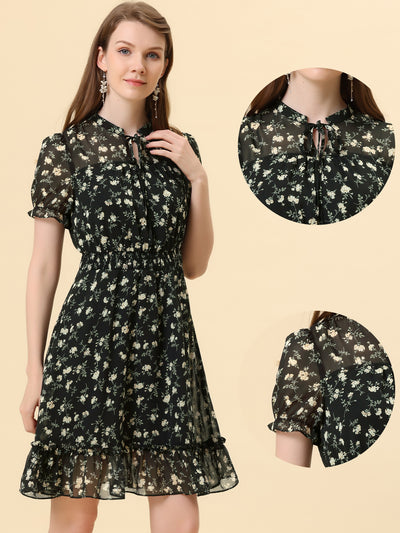 Floral Smocked Tie Neck Puff Sleeve Ruffle Chiffon Tiered Dress