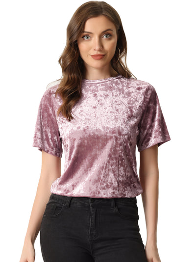 Casual Velvet Top Solid Round Neck Short Sleeve T-Shirt