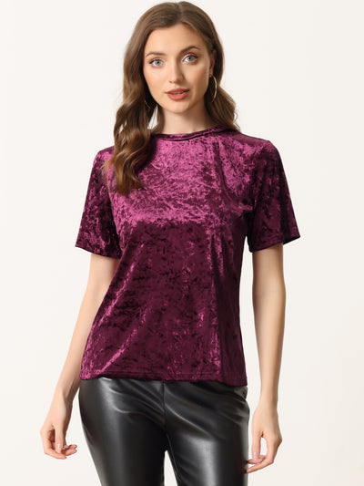 Casual Velvet Top Solid Round Neck Short Sleeve T-Shirt