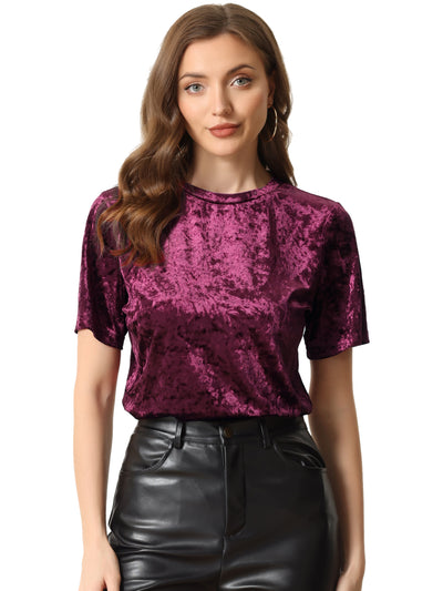 Casual Velvet Top Solid Round Neck Short Sleeve T-Shirt